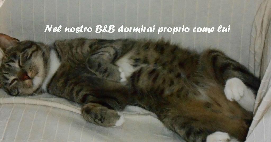 I Tetti Di Sassari B&B Eksteriør billede